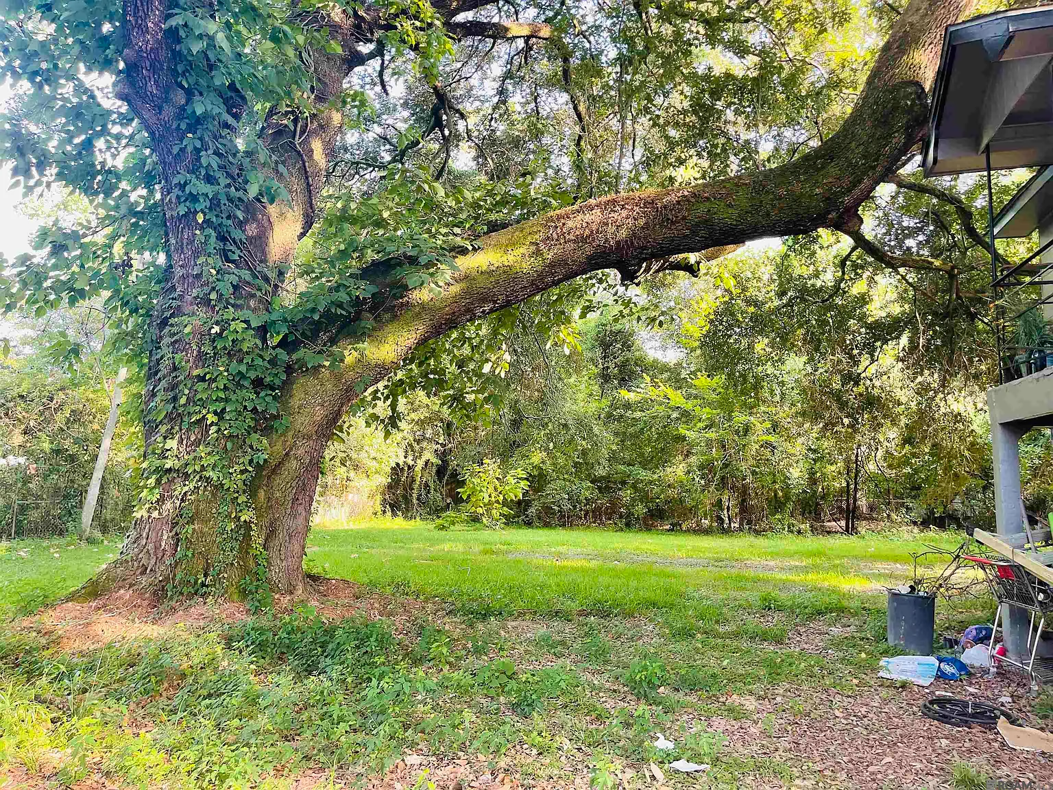 1 bed, 800 sqft, $575 — Photo 4