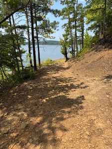 TRACT 6 Cascadia Bch, Bee Branch, AR, 72013