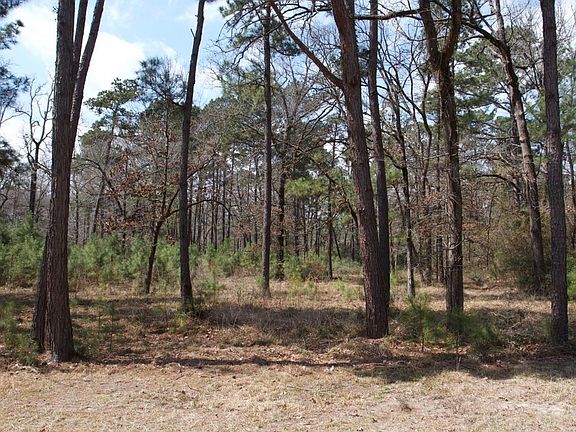 4th image of 4345 Fm 3188