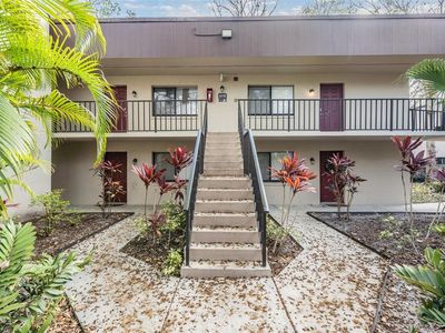 11715 Raintree Village Blvd APT C, Temple Terrace, FL, 33617