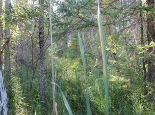 Weadock Rd, Cheboygan, MI 49721