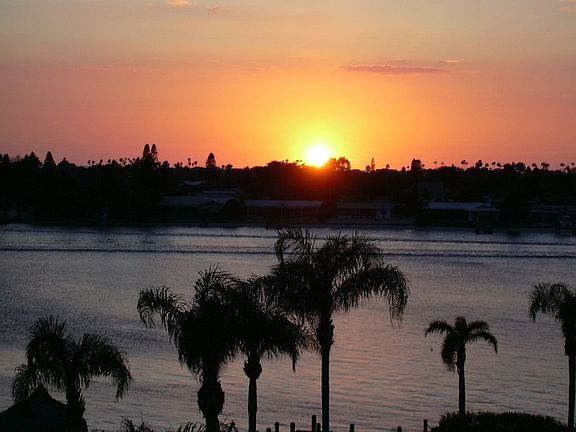 5th image of 6021 Bahia Del Mar Cir APT 537