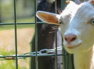 18104 Pets Ln, Beaverdam, VA 23015