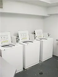 Rented by Mark David