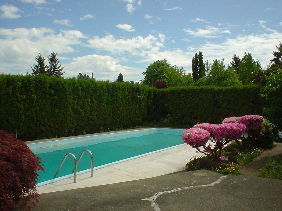 40'x15' pool, 9'hedge adds privacy