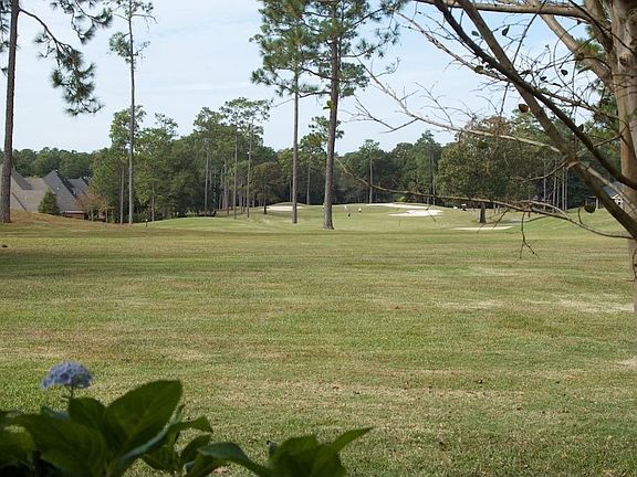 View From Back Patio