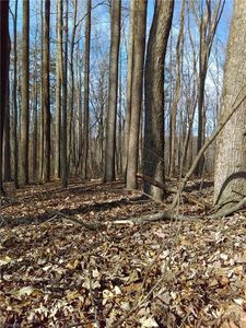 0 Bryan Rd Unit 0, Pilot Mountain, NC, 27041