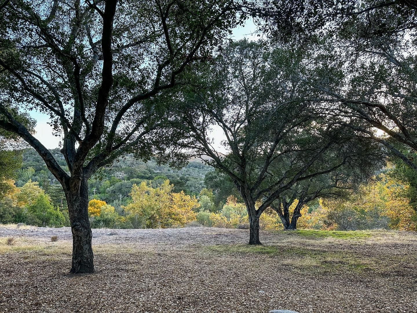 77 E Carmel Valley Rd, Carmel Valley, CA 93924 MLS ML81914080 Zillow