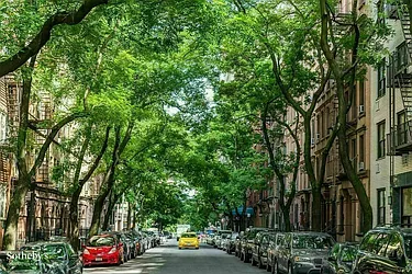 Sold by Manhattan Flats