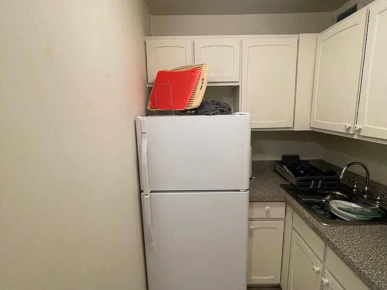 777 N Michigan Ave #904 — Photo 15