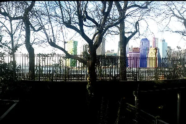 Rented by Corcoran | media 39