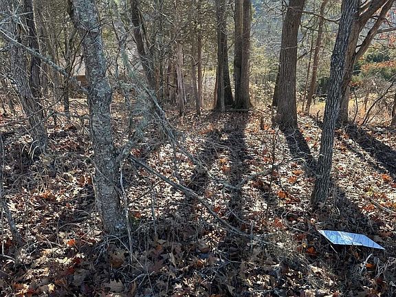 3rd image of 469 Woodlake Blvd