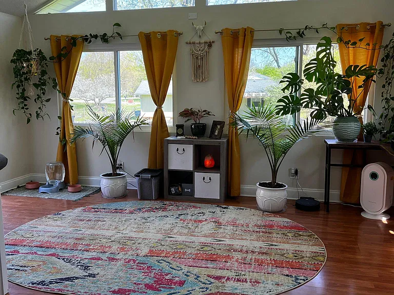 1132 Terra Rosa Dr — Photo 6