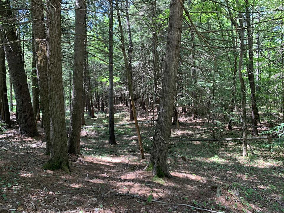 2nd image of Ironwood Rd