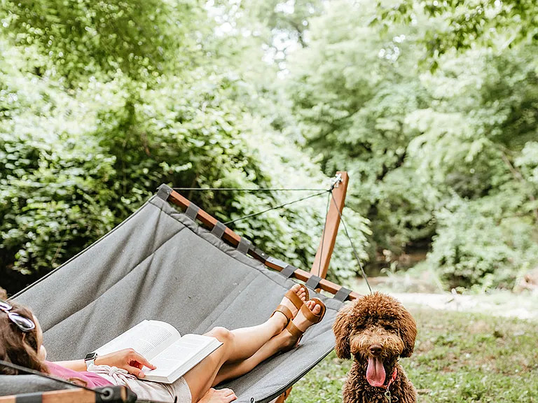 Creekside hammock