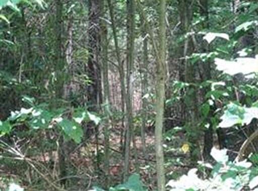 2nd image of 10 Country Ln