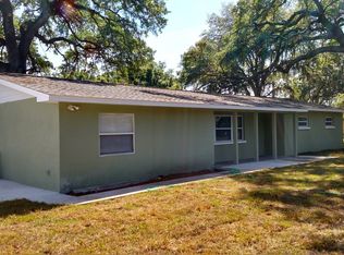 13201 Lewis Gallagher Rd, Dover, FL 33527