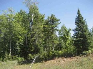 Hwy 51 #18-5802, Mercer, WI 54547