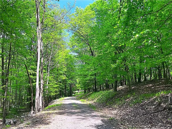 Judson Road, Montgomery, NY 12549