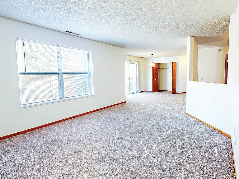 Cozy, Plush Carpeting