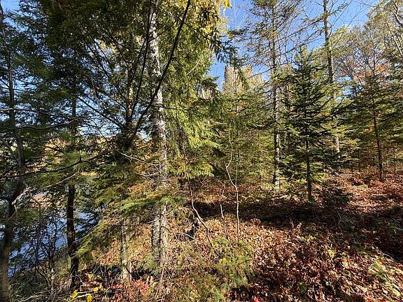 3rd image of 2 Long Rd