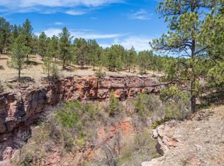 LOT 5 Saddle Ridge Rd, Hermosa, SD 57744