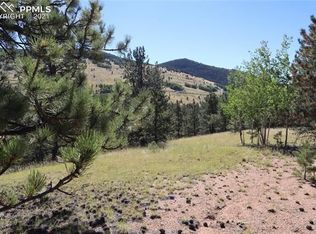 78 Red Cloud Cir, Cripple Creek, CO 80813