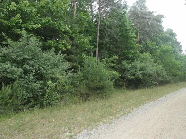 Merrill Dr, Vestaburg, MI 48891