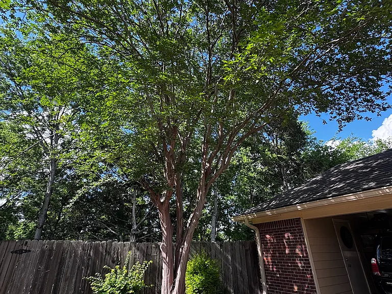 602 Huntington Dr — Photo 14