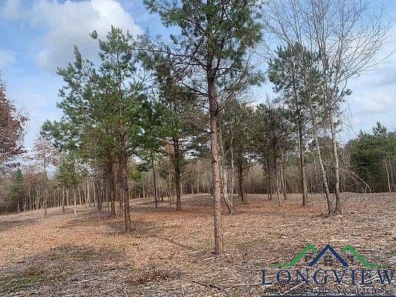 5th image of 15630 Highway 49 Tract #1