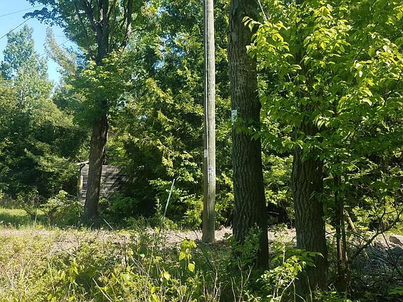 4th image of 2600 Bradbury Road 37 Acres