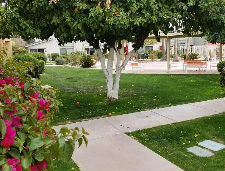 View from back door of TownHouse