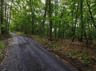 0 Tower Mountain Ln, Mount Jackson, VA 22842