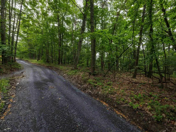 0 Tower Mountain Ln, Mount Jackson, VA 22842
