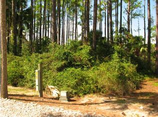 153 Painted Pony Rd, Port Saint Joe, FL 32456