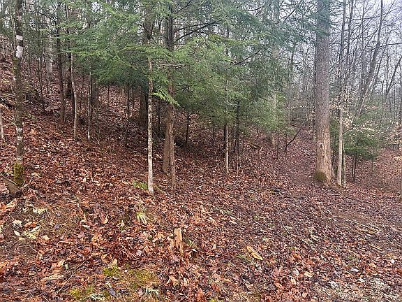 5th image of 210 Myrtle Little Rd