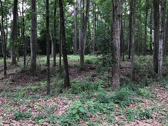 3rd image of 1 Whitemarsh Dr