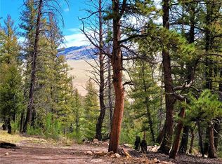 198 Middle Fork Vis, Fairplay, CO 80440