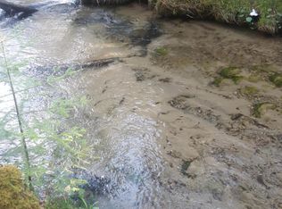 6118 Scenic Rte #3, Atlanta, MI 49709