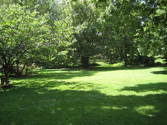 Park like backyard with mature trees