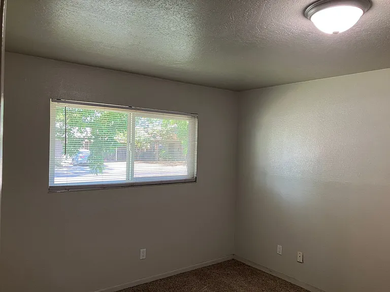 1430 E Orangeburg Ave — Photo 11