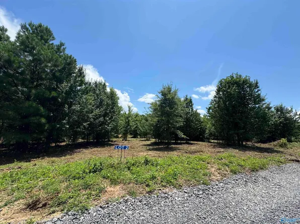 327 Razorback Way, Albertville, AL 35951