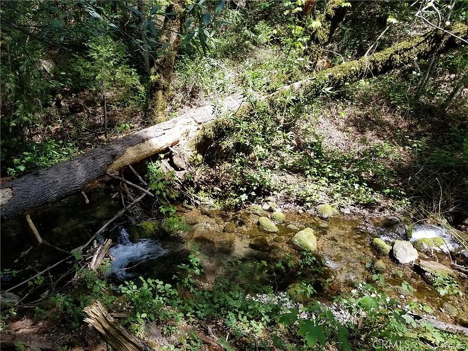 2nd image of 1226 Vilas Rd