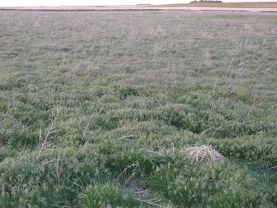 2nd image of East CR 6