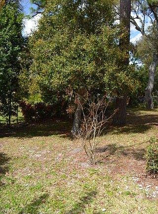 2nd image of 2420 S Peninsula Dr