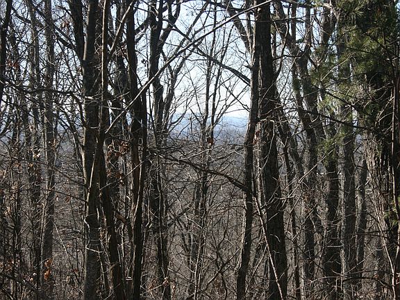 Long range mountain views...