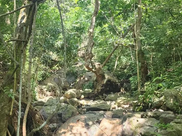 Carr 412 Km 4.8 Calle Pascual Nieves Bo Calvache, Rincon, PR 00677