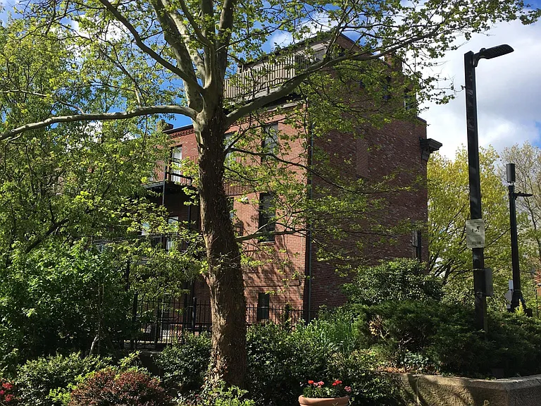 223 W Newton St #3 — Photo 12