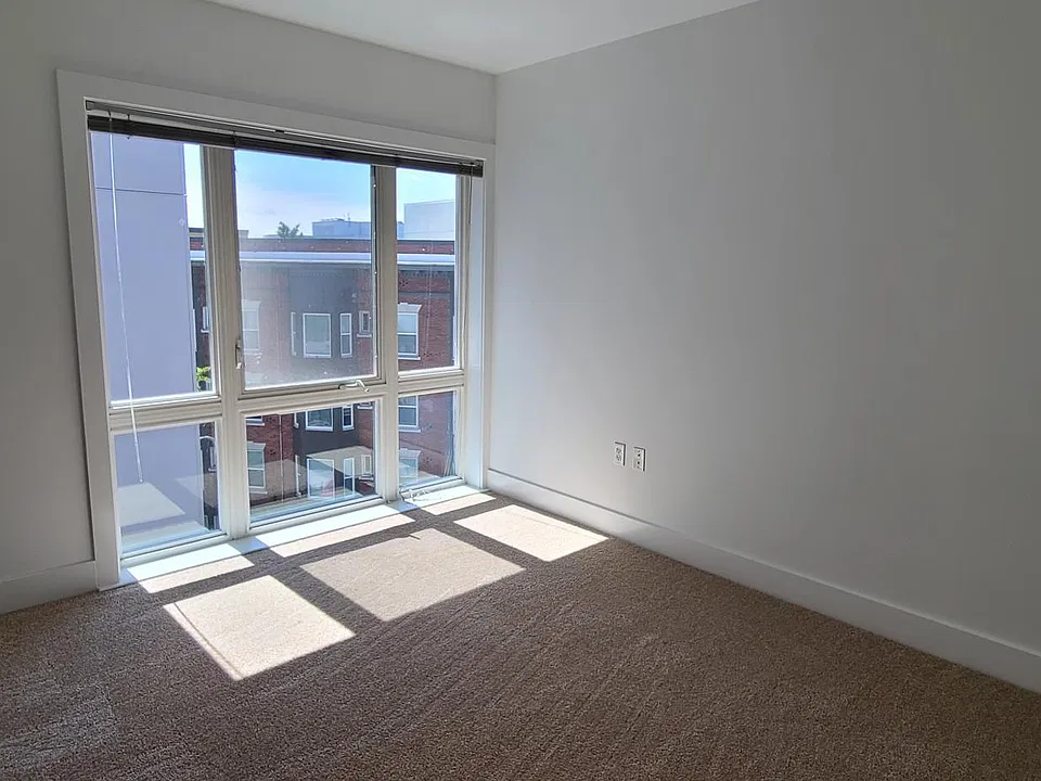 Large bright master bedroom with new carpet.