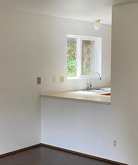 Kitchen pass through